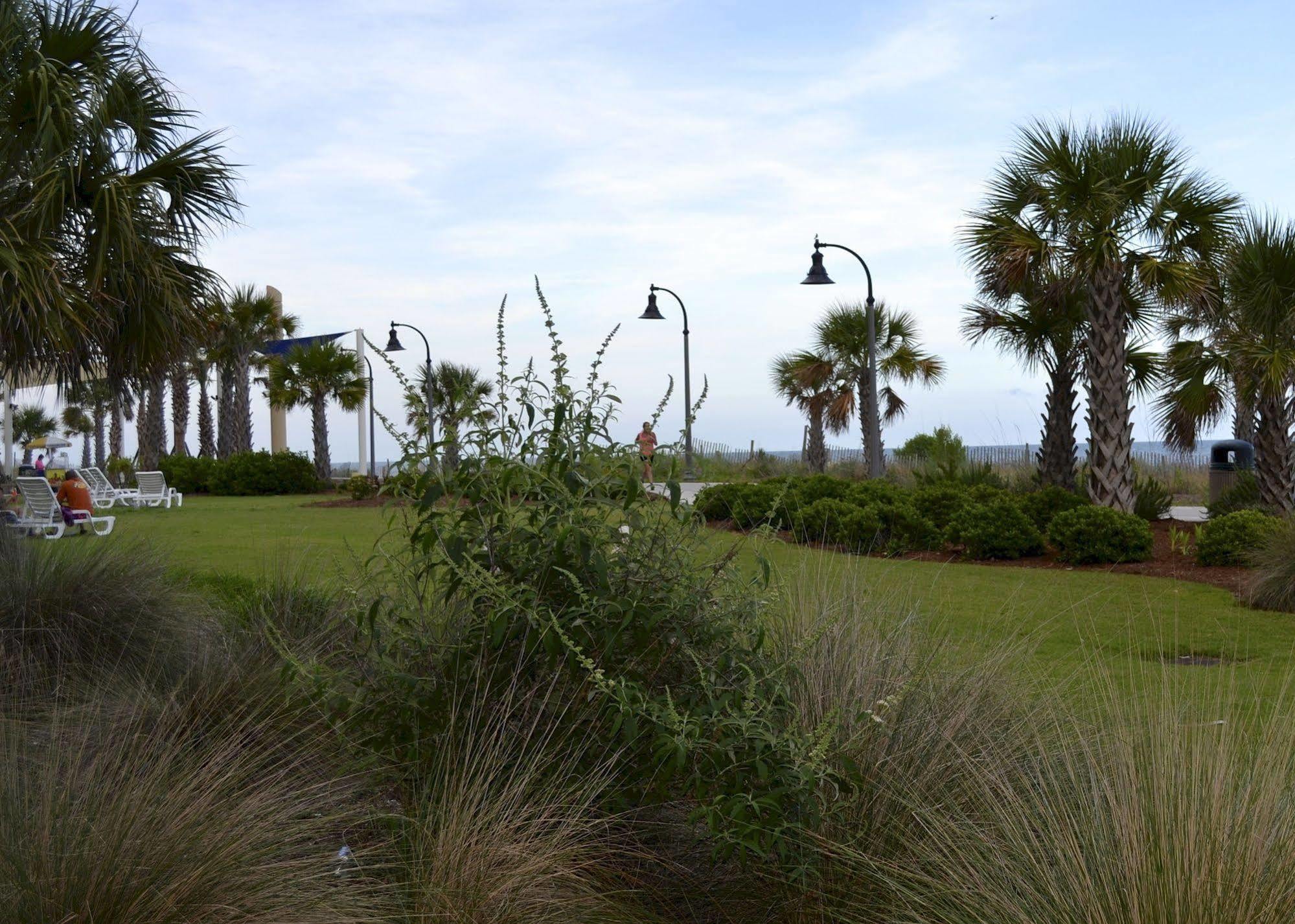 Sea Gypsy Myrtle Beach