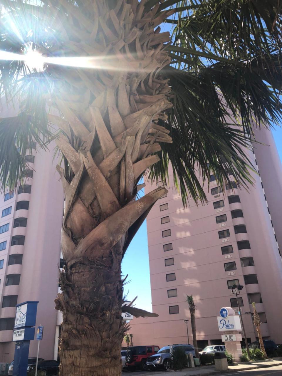 Palms Aparthotel Myrtle Beach
