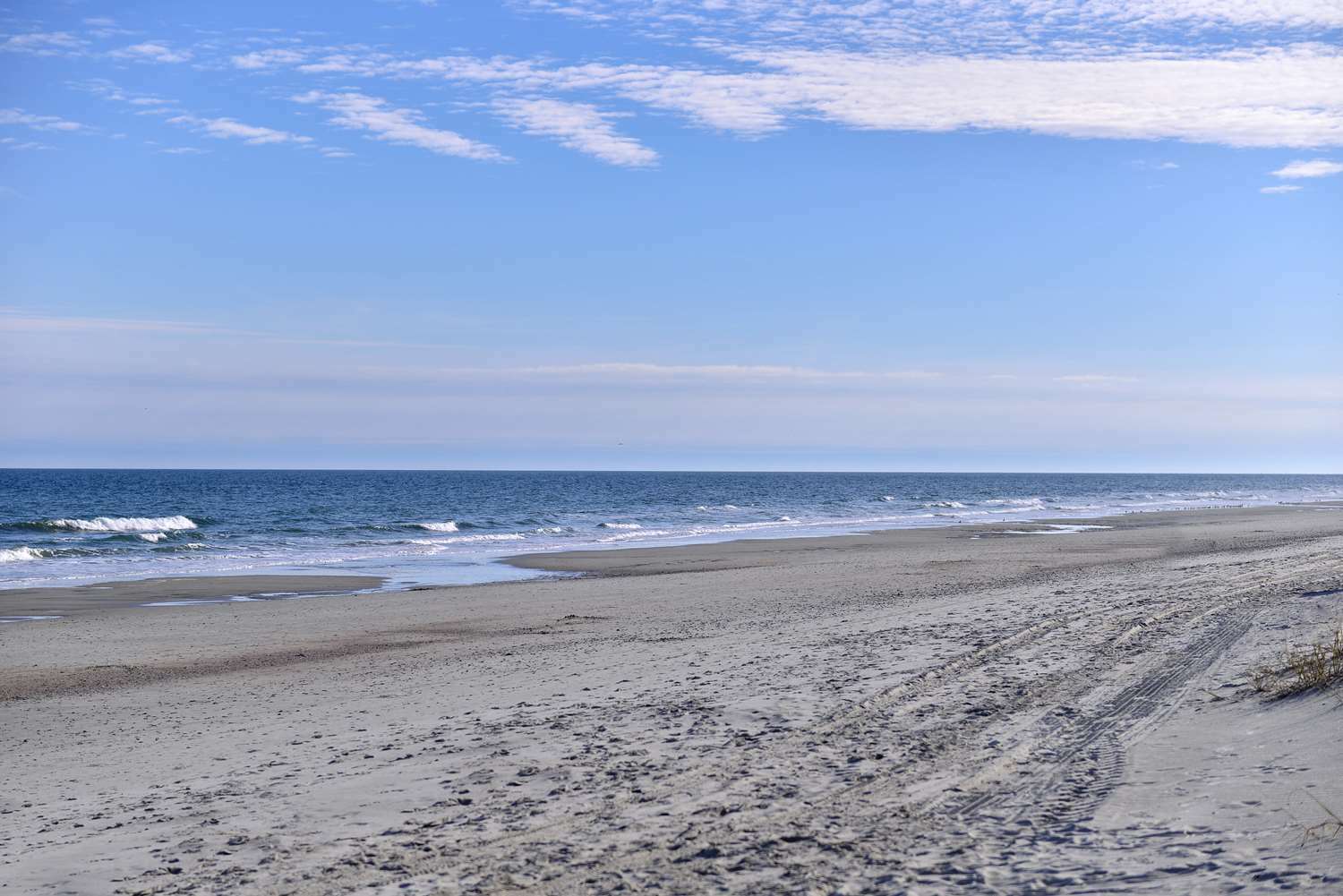 Shores