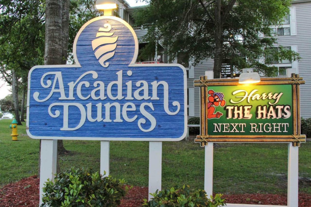 Arcadian Dunes 20-178 *