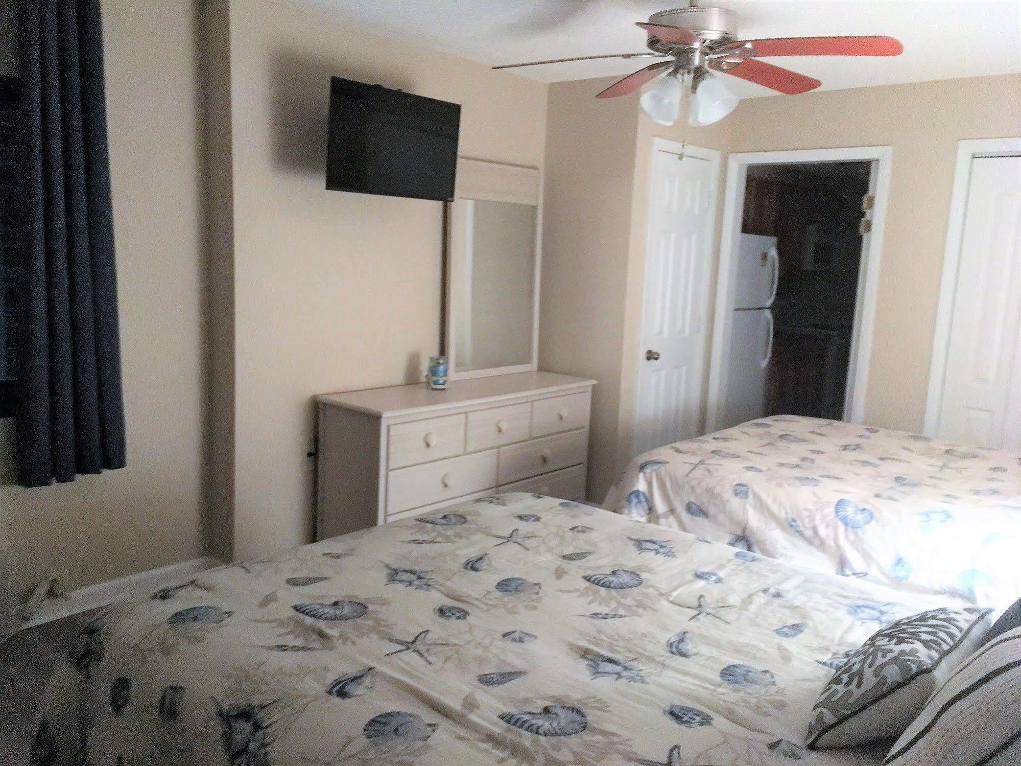 Palms 3*