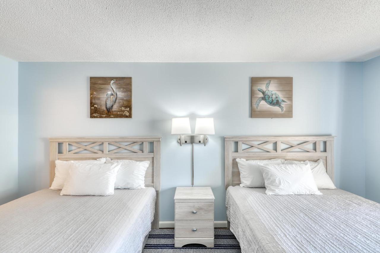 Sea Turtle Hotel