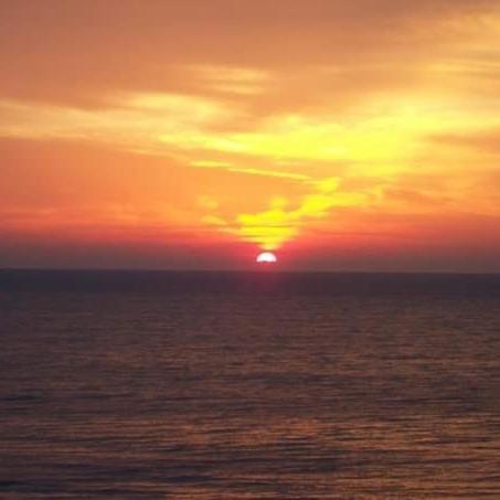 Lee's Myrtle * Myrtle Beach