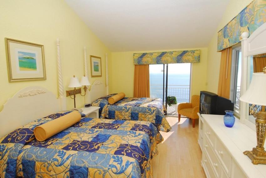 Driftwood And Tides By Sea Mist 3*