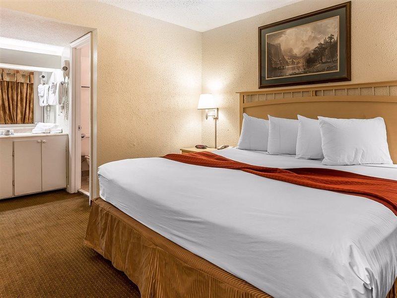 Ocean Star (adults Only)