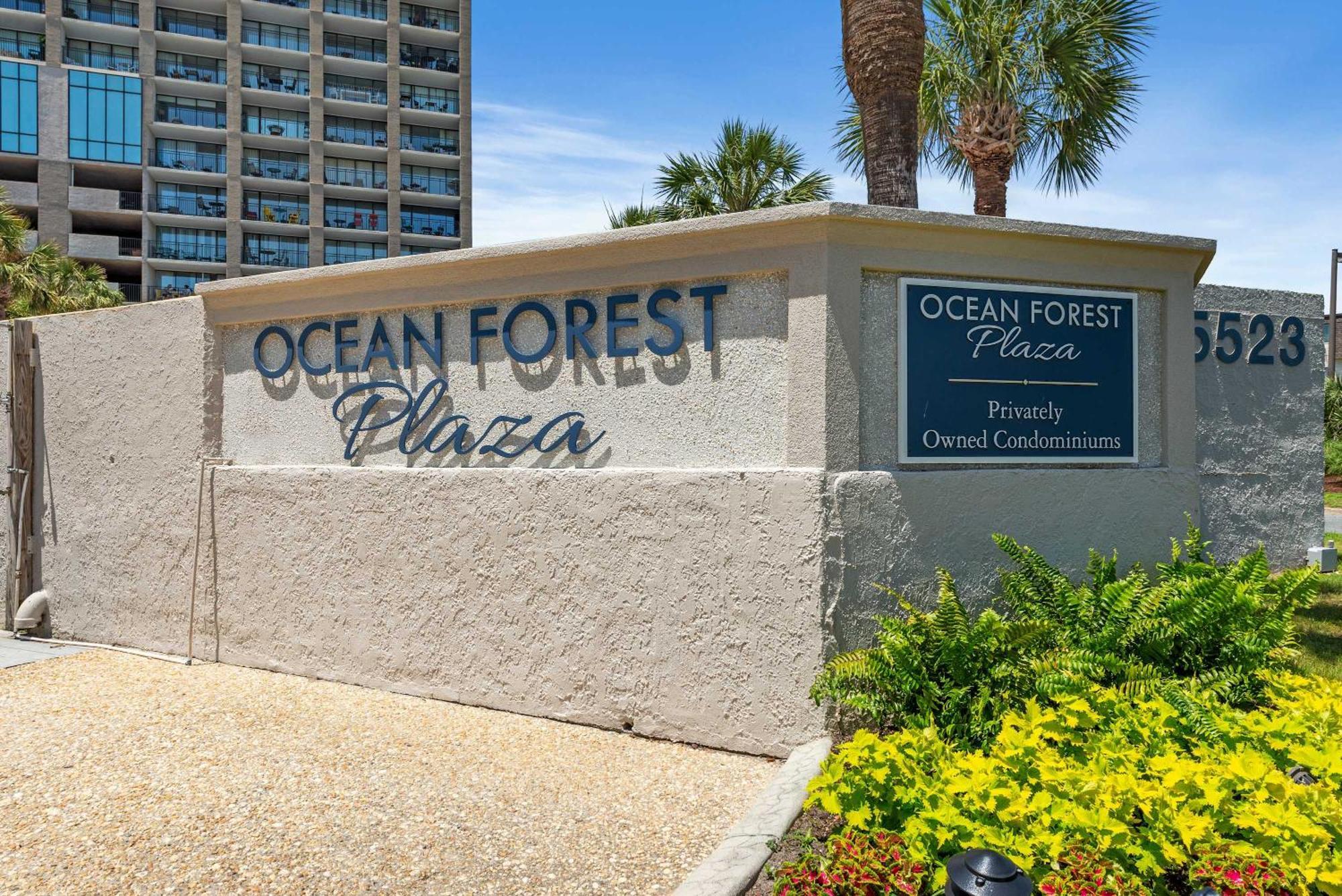 Ocean Forest Plaza 1105 - Oceanfront Holiday home