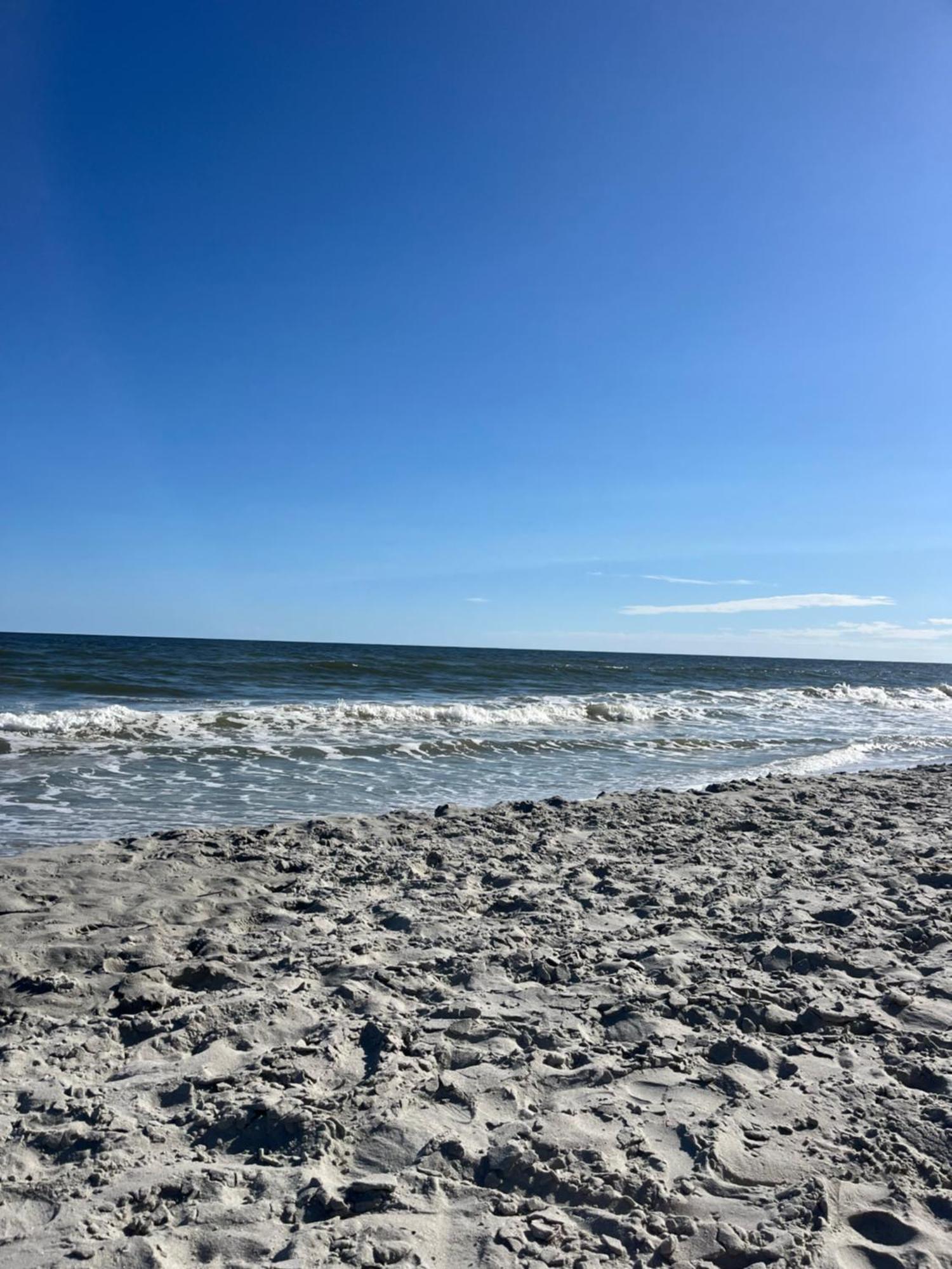 Salt Life * Myrtle Beach