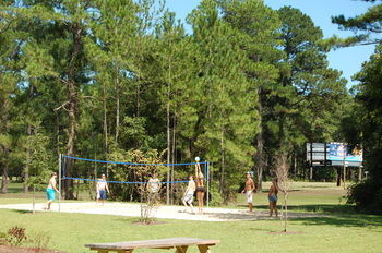 Myrtlewood