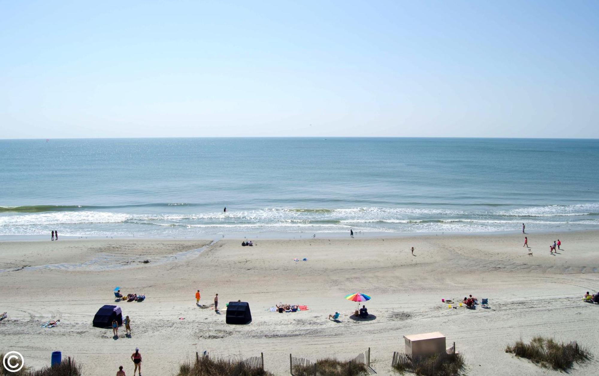 Palace Myrtle Beach