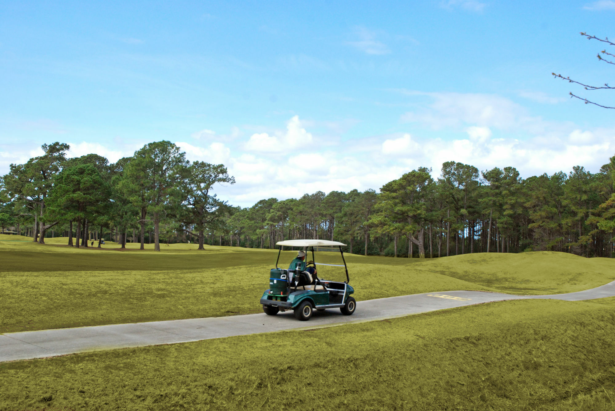 Hotel Magnolia Pointe By Palmetto Vacation